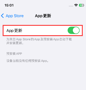 龙港苹果15维修中心如何让iPhone15APP自动更新